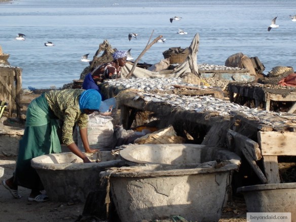 Working, Saint-Louis, Senegal