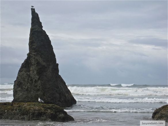 Inequality, Bandon, USA